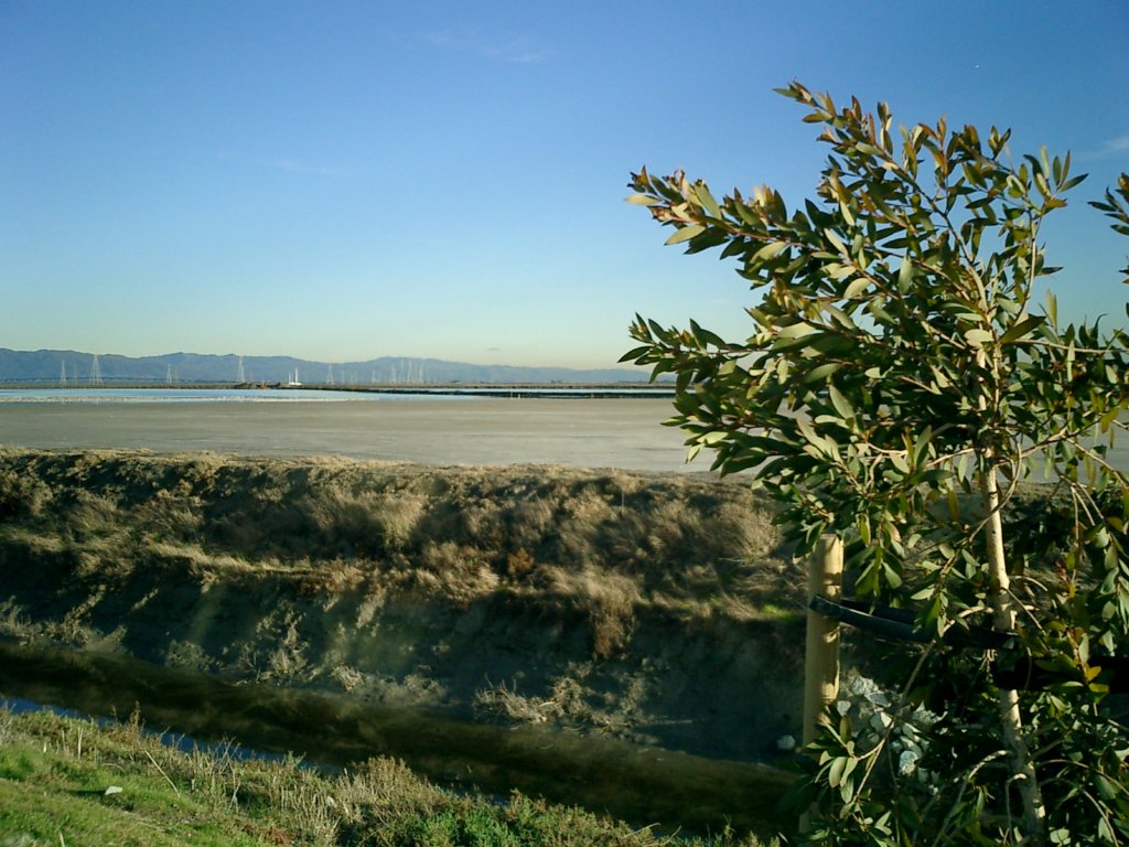 pic001.jpg