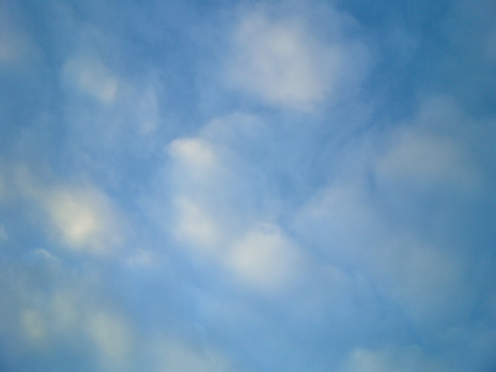 pic006.jpg