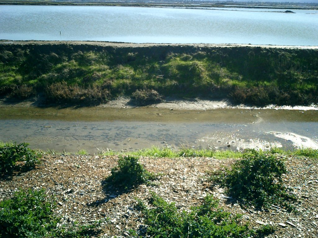 pix038.jpg