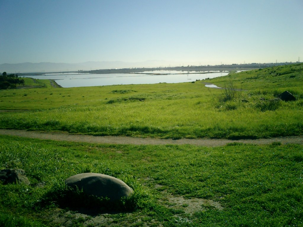 mar09_028.jpg