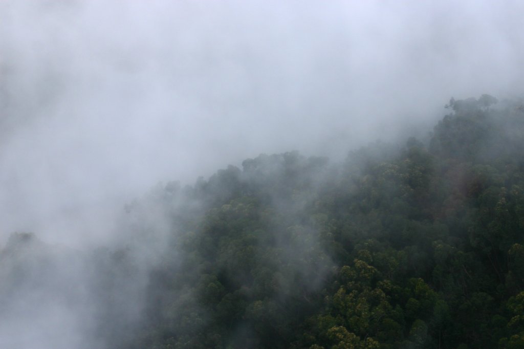 a_081.jpg