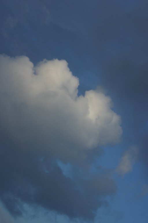 a_523.jpg