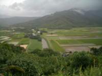 e_033_small.jpg