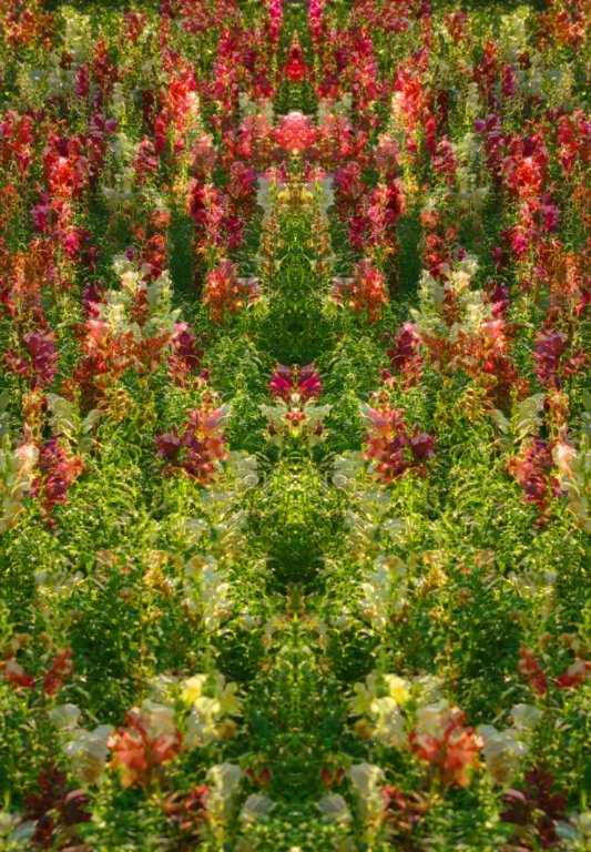 _0176b.jpg