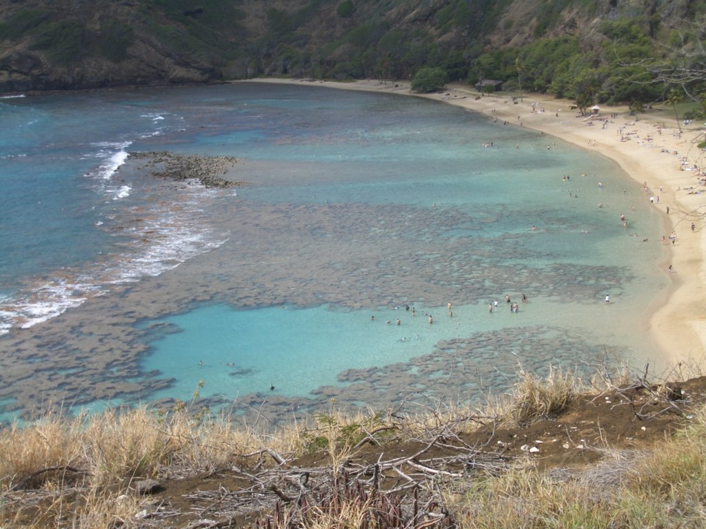 _c0009.jpg