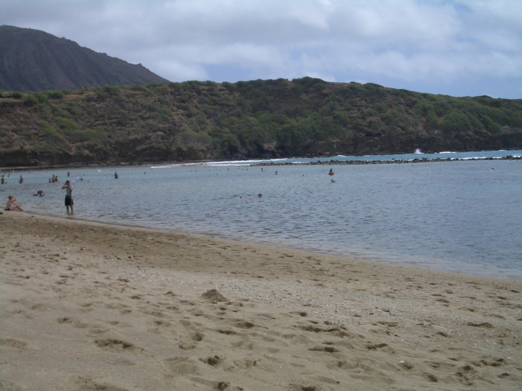 _c0010.jpg