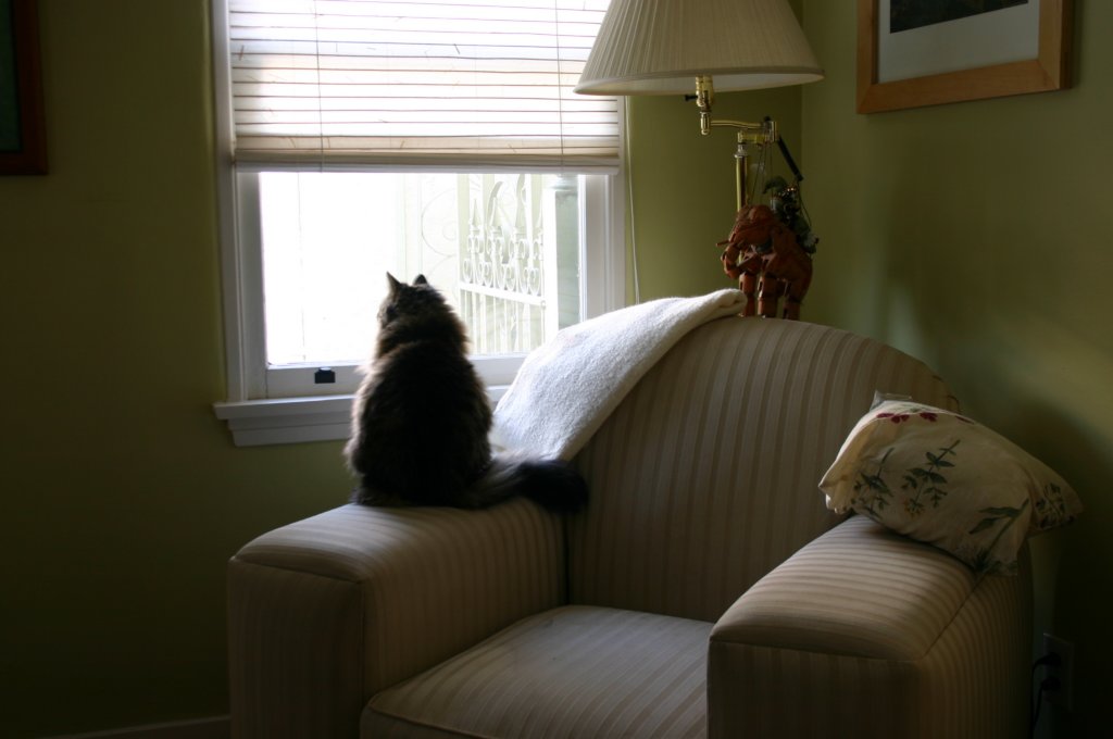 c_0027.jpg
