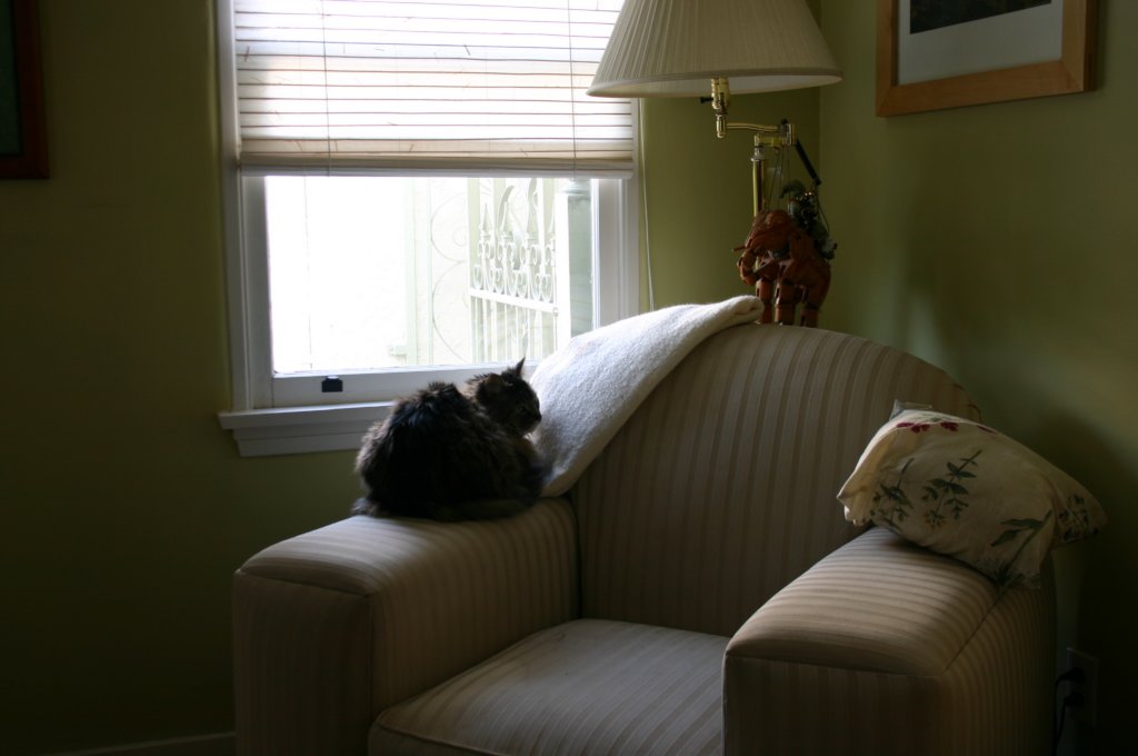 c_0030.jpg