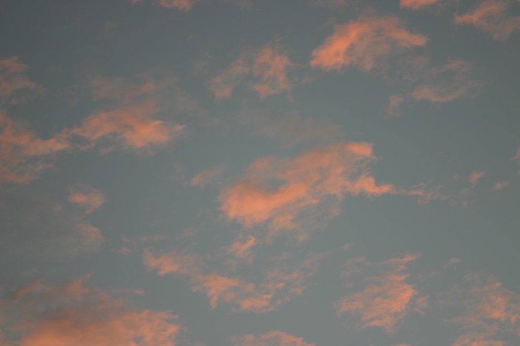_0176.jpg
