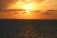 a_0240_small.jpg