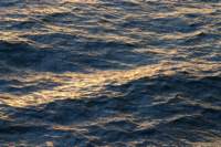 a_0245_small.jpg