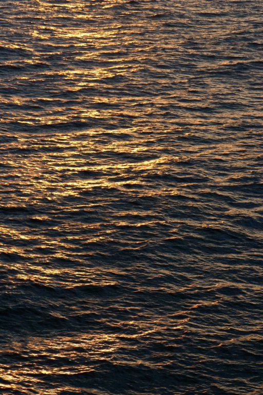 a_0251.jpg