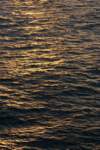 a_0251_small.jpg