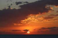 a_0263_small.jpg