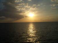 b_0098_small.jpg