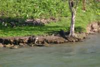 a_0552_small.jpg