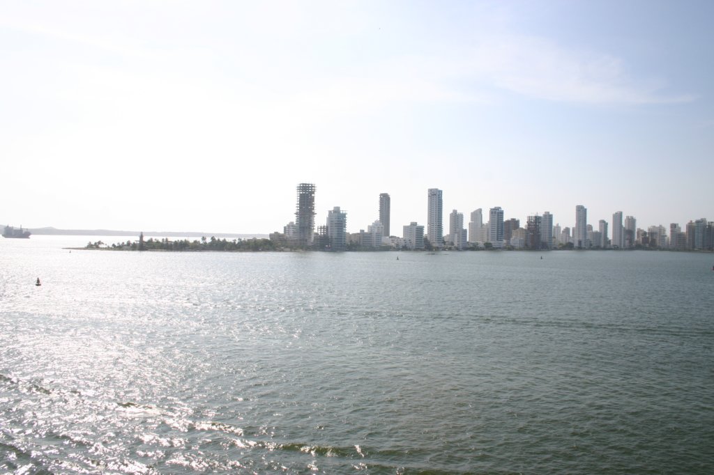 a_0194.jpg