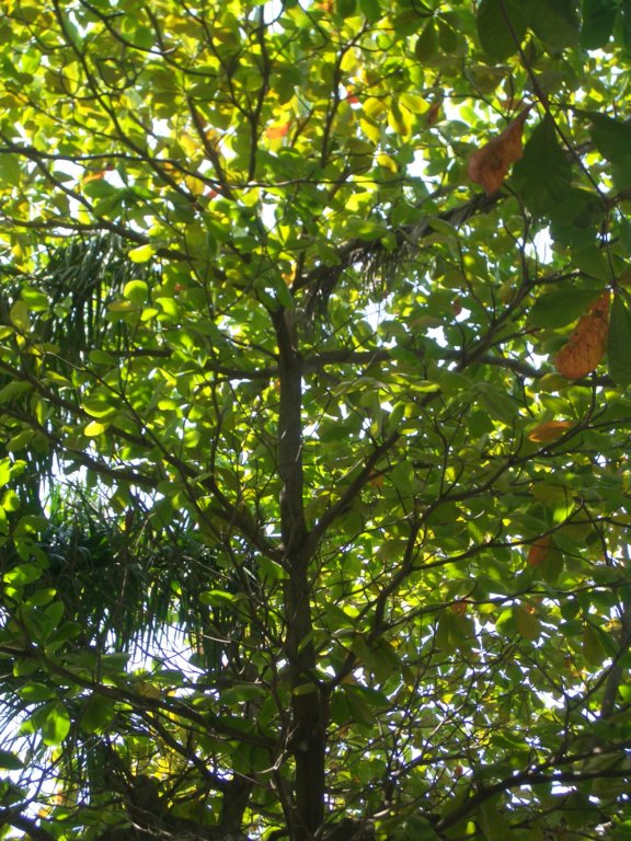 b_0069.jpg