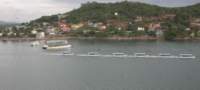 _222227_small.jpg