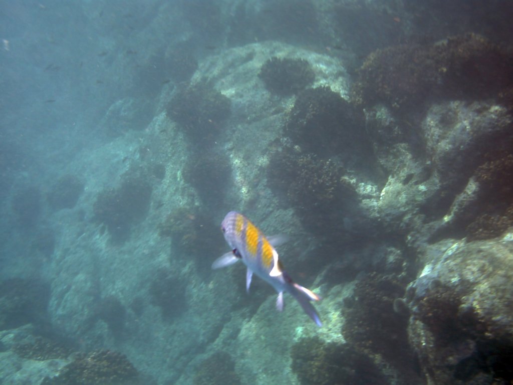 b_012.jpg