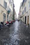 _113_small.jpg