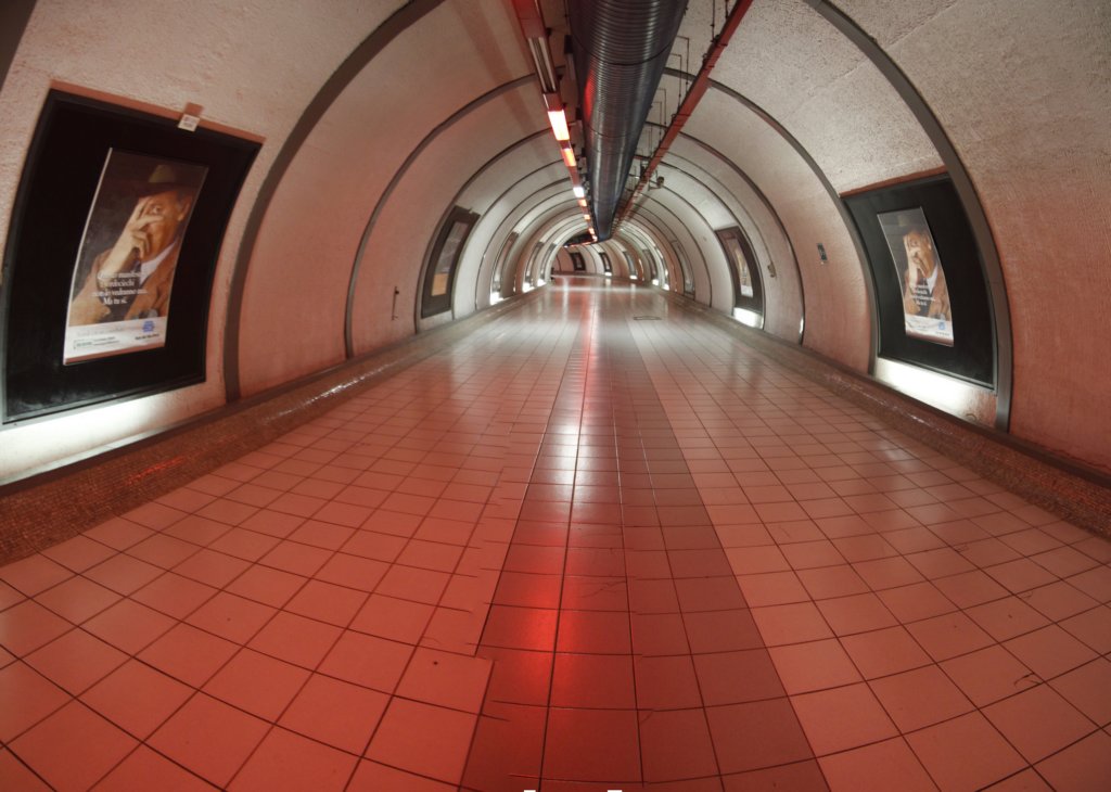 _144146.jpg